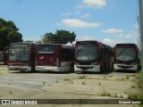 Sucata e Desmanches 7 2XXX na cidade de São Paulo, São Paulo, Brasil, por Manoel Junior. Número da foto: #8395676.