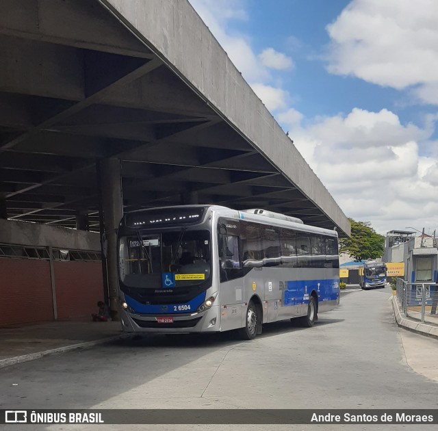 Transcooper > Norte Buss 2 6504 na cidade de São Paulo, São Paulo, Brasil, por Andre Santos de Moraes. Número da foto: #8396867.