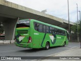 Pássaro Verde 11087 na cidade de Belo Horizonte, Minas Gerais, Brasil, por Douglas Célio Brandao. Número da foto: #:id.