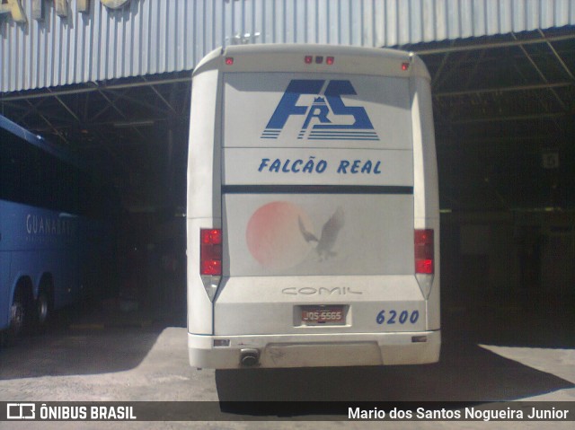 Falcão Real 6200 na cidade de Senhor do Bonfim, Bahia, Brasil, por Mario dos Santos Nogueira Junior. Número da foto: #8406366.