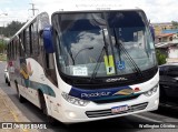 Piccolotur Transportes Turísticos 4201 na cidade de Várzea Paulista, São Paulo, Brasil, por Wellington Oliveira. Número da foto: #:id.