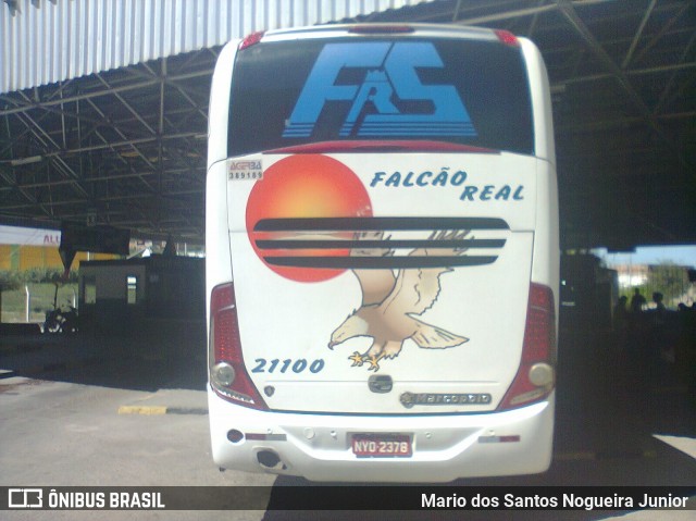 Falcão Real 21100 na cidade de Senhor do Bonfim, Bahia, Brasil, por Mario dos Santos Nogueira Junior. Número da foto: #8414192.