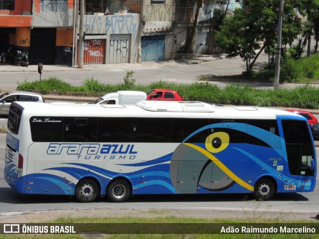 Arara Azul Turismo 2020 na cidade de Belo Horizonte, Minas Gerais, Brasil, por Adão Raimundo Marcelino. Número da foto: #8414720.