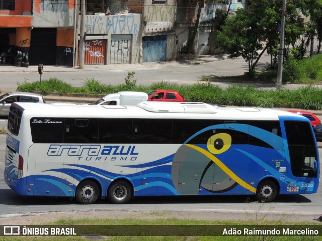 Arara Azul Turismo 2020 na cidade de Belo Horizonte, Minas Gerais, Brasil, por Adão Raimundo Marcelino. ID da foto: 8414720.