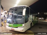 Pássaro Verde 29016 na cidade de João Monlevade, Minas Gerais, Brasil, por Adriano  Almeida. Número da foto: #8414009.