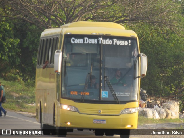 Gercitur 9719 na cidade de Jaboatão dos Guararapes, Pernambuco, Brasil, por Jonathan Silva. Número da foto: #8338480.