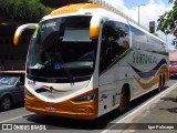 Viação Sertaneja 20191 na cidade de Belo Horizonte, Minas Gerais, Brasil, por Igor Policarpo. Número da foto: #8345297.