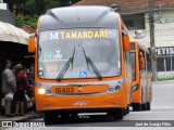Viação Tamandaré 16403 na cidade de Curitiba, Paraná, Brasil, por Joel de Araújo Filho. Número da foto: #:id.