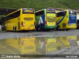 Severo Turismo 1510 na cidade de Ibiraçu, Espírito Santo, Brasil, por Igor Policarpo. Número da foto: #8345308.