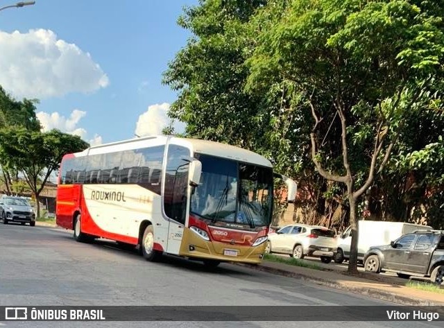 Rouxinol 2060 na cidade de Contagem, Minas Gerais, Brasil, por Vitor Hugo. ID da foto: 8347948.