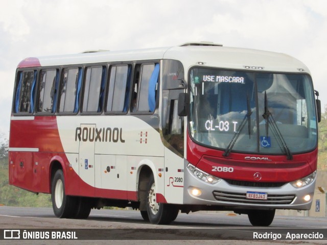 Rouxinol 2080 na cidade de Conselheiro Lafaiete, Minas Gerais, Brasil, por Rodrigo  Aparecido. Número da foto: #8349447.