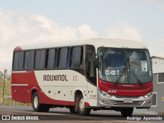 Rouxinol 1633 na cidade de Conselheiro Lafaiete, Minas Gerais, Brasil, por Rodrigo  Aparecido. Número da foto: #8349435.