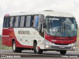 Rouxinol 2080 na cidade de Conselheiro Lafaiete, Minas Gerais, Brasil, por Rodrigo  Aparecido. Número da foto: #8349447.