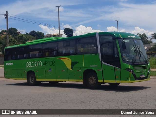 Pássaro Verde 20181 na cidade de Ouro Preto, Minas Gerais, Brasil, por Daniel Junior Sena. Número da foto: #8353970.