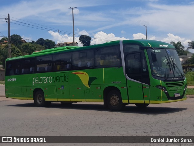 Pássaro Verde 20181 na cidade de Ouro Preto, Minas Gerais, Brasil, por Daniel Junior Sena. ID da foto: 8353970.