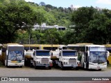 Empresa Gontijo de Transportes 12150 na cidade de Belo Horizonte, Minas Gerais, Brasil, por Fabricio Zulato. ID da foto: :id.