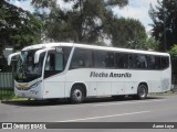 Flecha Amarilla 7137 na cidade de Morelia, Michoacán, México, por Aaron Loya. Número da foto: #8441693.