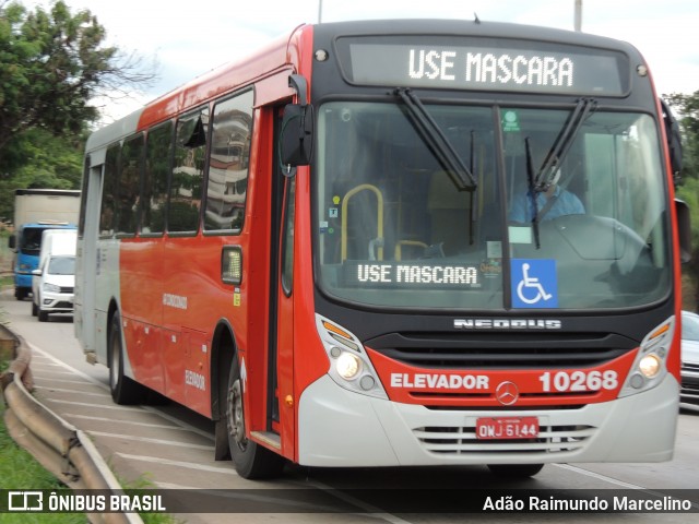 Empresa São Gonçalo 10268 na cidade de Belo Horizonte, Minas Gerais, Brasil, por Adão Raimundo Marcelino. Número da foto: #8445197.