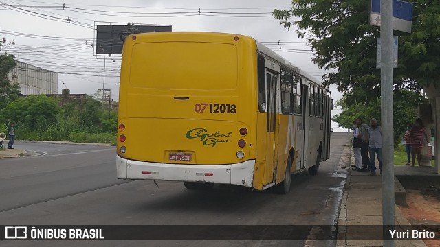 Global Green 0712018 na cidade de Manaus, Amazonas, Brasil, por Yuri Brito. Número da foto: #8443249.