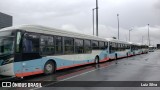 Auto Omnibus Floramar 03 na cidade de Belo Horizonte, Minas Gerais, Brasil, por Luiz Silva. Número da foto: #8448377.