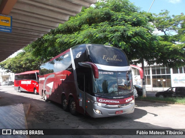 Expresso Gardenia 4300 na cidade de Três Corações, Minas Gerais, Brasil, por Fábio Mateus Tibúrcio. Número da foto: #8449884.