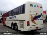 Pluma Conforto e Turismo 3869 na cidade de Guararema, São Paulo, Brasil, por Felipe Alves. Número da foto: #8448732.