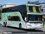 Pullman Setter  na cidade de Santiago, Santiago, Metropolitana de Santiago, Chile, por Jeremias Alejandro Medina Ramirez. Número da foto: #8451473.