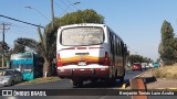 Bupesa 292 na cidade de Maipú, Santiago, Metropolitana de Santiago, Chile, por Benjamín Tomás Lazo Acuña. Número da foto: #8452934.
