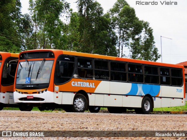 Catedral Turismo 70187 na cidade de Luziânia, Goiás, Brasil, por Ricardo Vieira. ID da foto: 8457735.