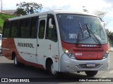 Rouxinol 1603 na cidade de Belo Horizonte, Minas Gerais, Brasil, por Adão Raimundo Marcelino. Número da foto: #8458261.