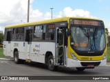 Viação Pioneira 226912 na cidade de Brasília, Distrito Federal, Brasil, por Agnel Gomes. Número da foto: #:id.