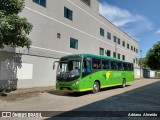 Pássaro Verde 15144 na cidade de Ponte Nova, Minas Gerais, Brasil, por Adriano  Almeida. Número da foto: #8460522.