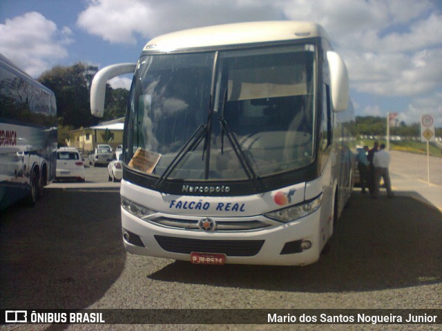Falcão Real 1287 na cidade de Camaçari, Bahia, Brasil, por Mario dos Santos Nogueira Junior. Número da foto: #8463438.