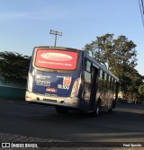 Transportes Capellini 19.100 na cidade de Nova Odessa, São Paulo, Brasil, por Fred Sposito. Número da foto: #:id.
