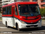 ATL - Associação dos Transportadores de Passageiros por Lotação 166 na cidade de Porto Alegre, Rio Grande do Sul, Brasil, por Mauricio Peres Rodrigues. Número da foto: #8464421.