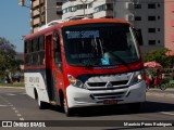 ATL - Associação dos Transportadores de Passageiros por Lotação 242 na cidade de Porto Alegre, Rio Grande do Sul, Brasil, por Mauricio Peres Rodrigues. Número da foto: #8464431.