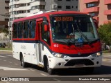 ATL - Associação dos Transportadores de Passageiros por Lotação 163 na cidade de Porto Alegre, Rio Grande do Sul, Brasil, por Mauricio Peres Rodrigues. Número da foto: #8464412.