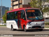 ATL - Associação dos Transportadores de Passageiros por Lotação 254 na cidade de Porto Alegre, Rio Grande do Sul, Brasil, por Mauricio Peres Rodrigues. Número da foto: #8464407.