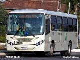 Auto Viação São Braz 21904 na cidade de Curitiba, Paraná, Brasil, por Hipólito Rodrigues. Número da foto: #8468808.