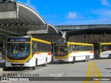 Empresa Metropolitana 524 na cidade de Recife, Pernambuco, Brasil, por Alex Vinícius. ID da foto: :id.