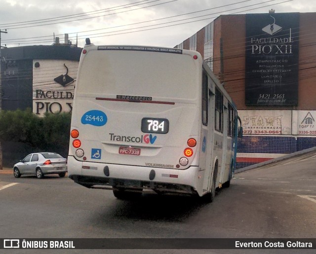 Viação Satélite 25443 na cidade de Cariacica, Espírito Santo, Brasil, por Everton Costa Goltara. Número da foto: #8471152.