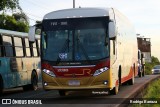 Rouxinol 2030 na cidade de Belo Horizonte, Minas Gerais, Brasil, por Rodrigo Barraza. Número da foto: #:id.