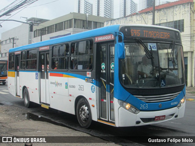 Transportadora Globo 263 na cidade de Recife, Pernambuco, Brasil, por Gustavo Felipe Melo. Número da foto: #8474917.