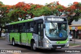 Viação Garcia 81056 na cidade de Maringá, Paraná, Brasil, por Rodrigo Matheus. Número da foto: #8475387.