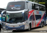Trans Monici 2094 na cidade de Goiânia, Goiás, Brasil, por Carlos Júnior. Número da foto: #8474817.