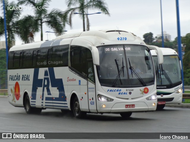 Falcão Real 4210 na cidade de Salvador, Bahia, Brasil, por Ícaro Chagas. Número da foto: #8481489.