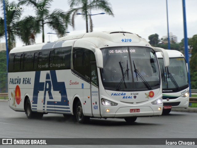 Falcão Real 4210 na cidade de Salvador, Bahia, Brasil, por Ícaro Chagas. ID da foto: 8481489.