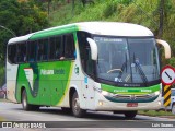 Pássaro Verde 11098 na cidade de Viçosa, Minas Gerais, Brasil, por Luis Soares. Número da foto: #:id.