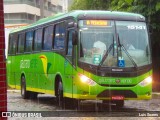 Pássaro Verde 15141 na cidade de Viçosa, Minas Gerais, Brasil, por Luis Soares. Número da foto: #:id.