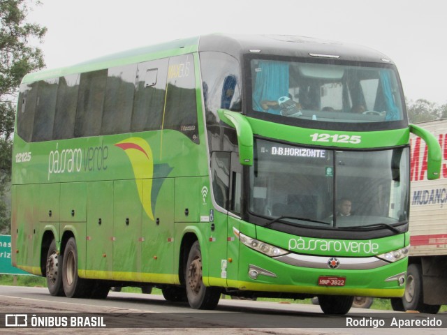 Pássaro Verde 12125 na cidade de Conselheiro Lafaiete, Minas Gerais, Brasil, por Rodrigo  Aparecido. Número da foto: #8483291.